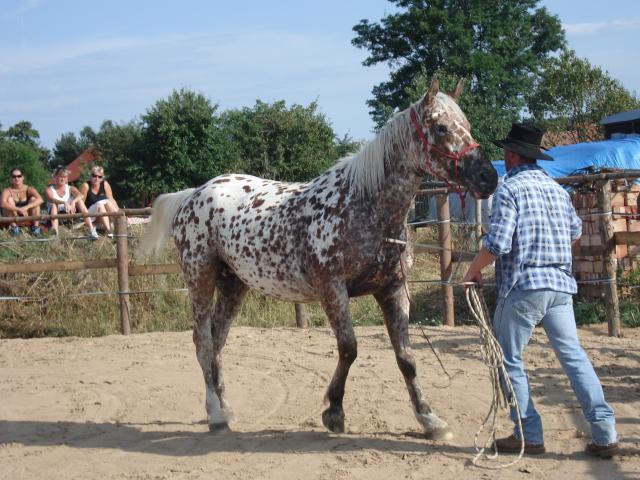 Dorinka ponkud pomalu chpe