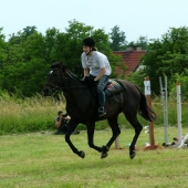 erven 2008, Mal Bechovsk